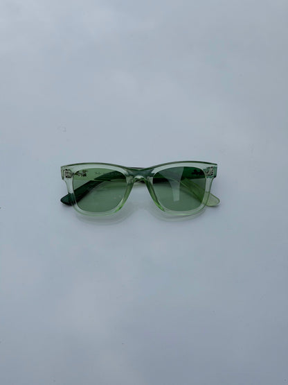 RAYBAN REVERSE