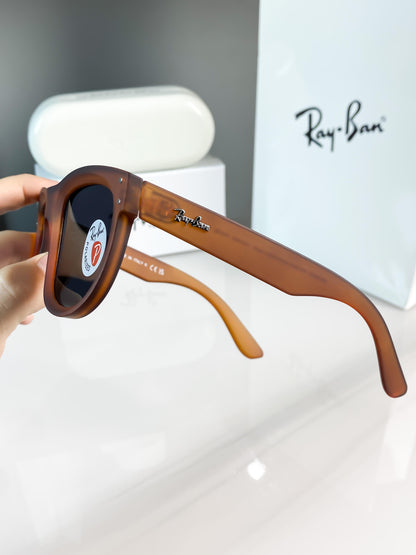 RAY BAN REVERSE BROWN BLACK